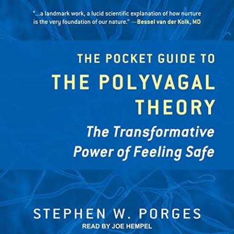 Cover Image for the Pocket Guide to the Polyvagal Theory