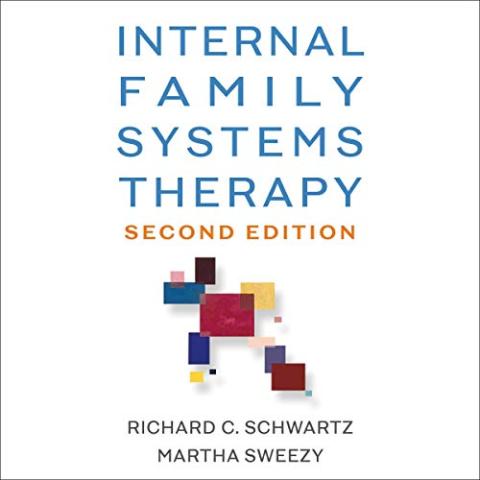 Cover Image for Internal Family Systems Therapy