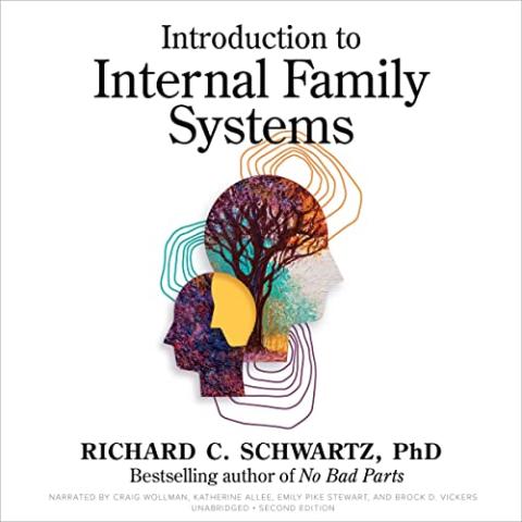 Cover Image for Introduction to Internal Family Systems