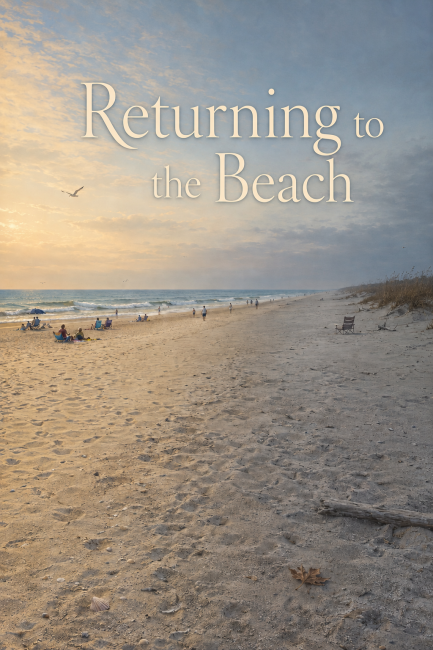 Cover Image of Returning to the Beach